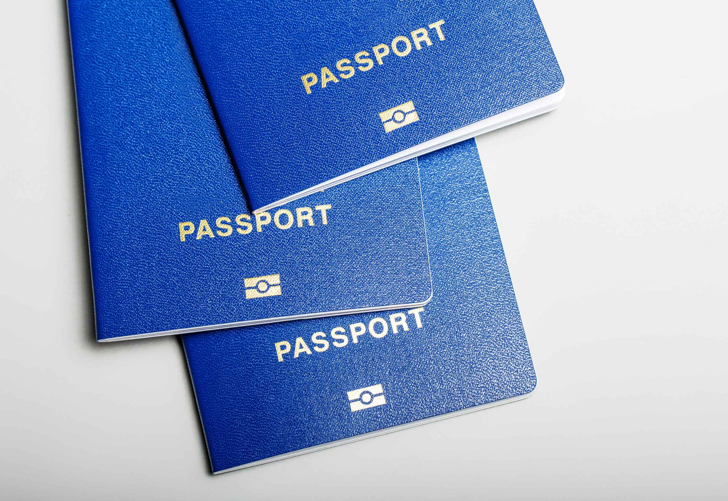 Blue Biometric Passport