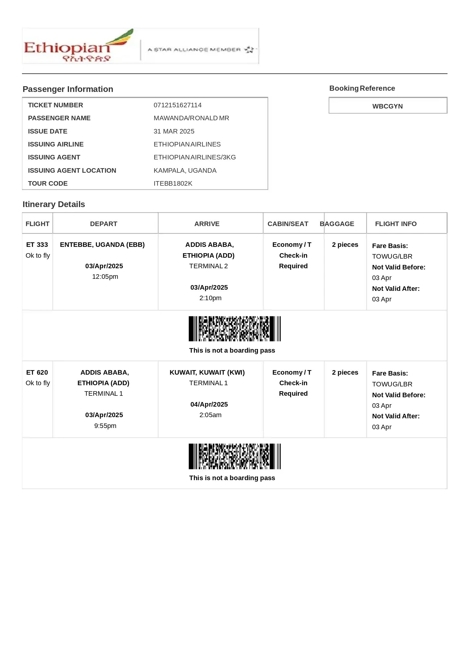 Fligh Ticket Sample