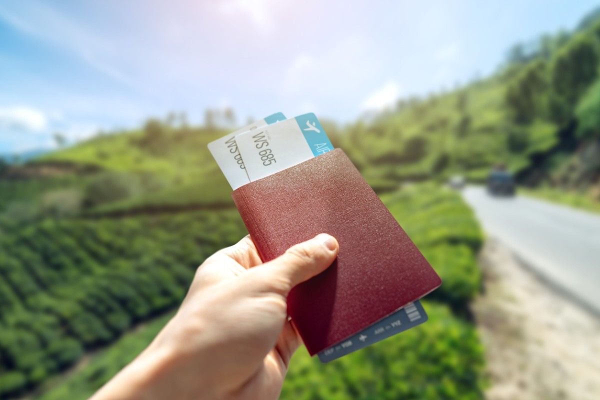 Hand Holding A Passport