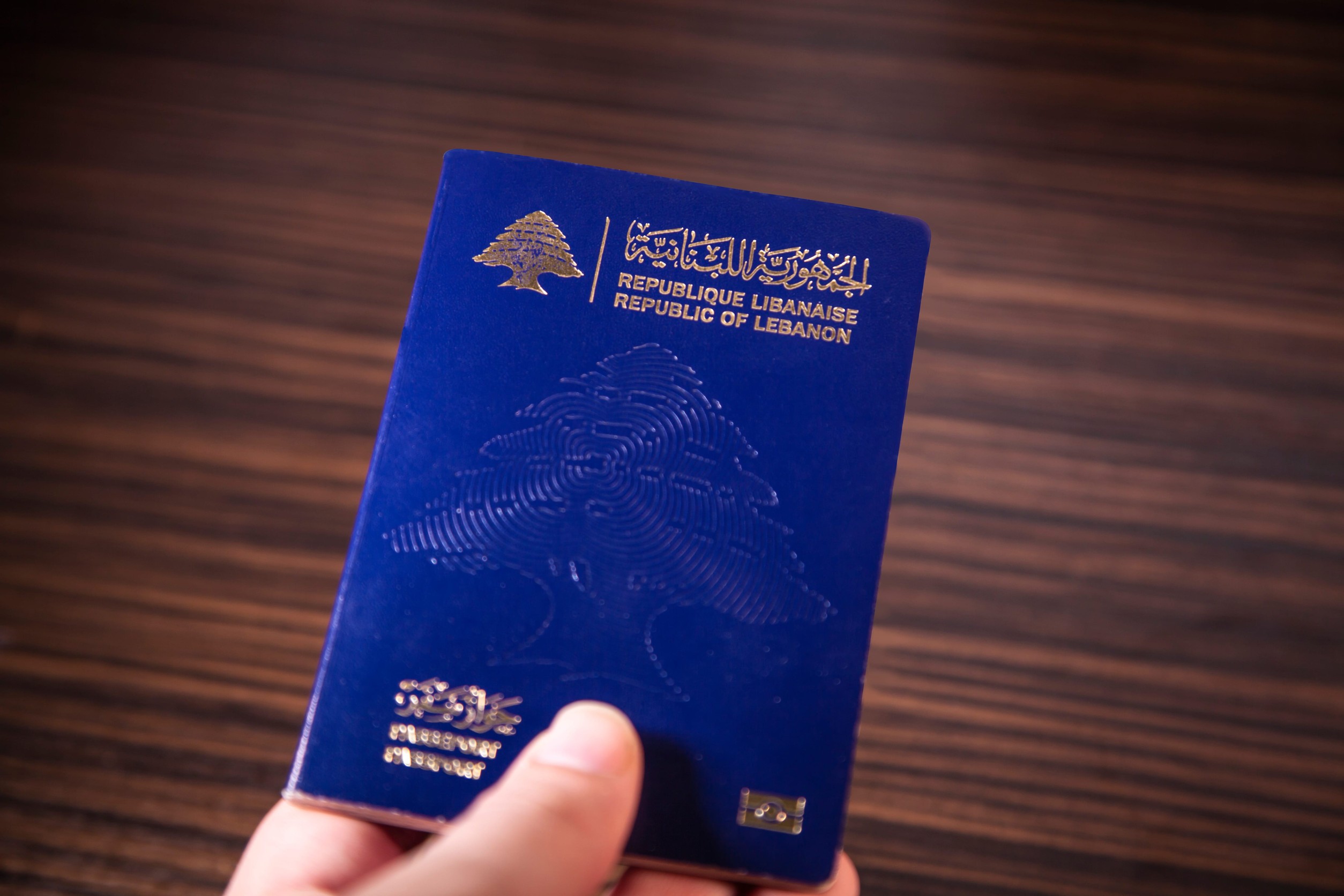 Hand Holding Lebanon Passport