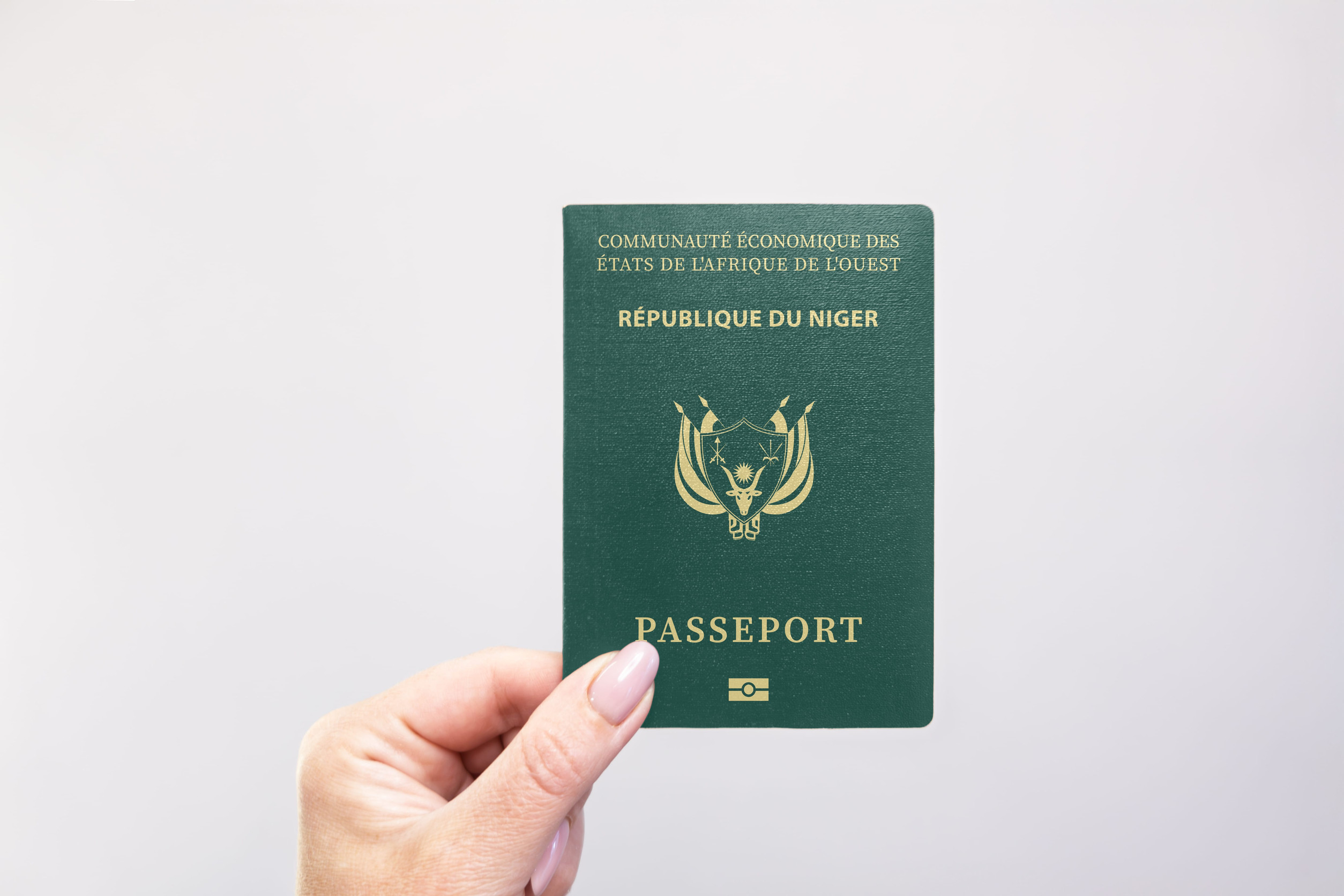 Niger Passport