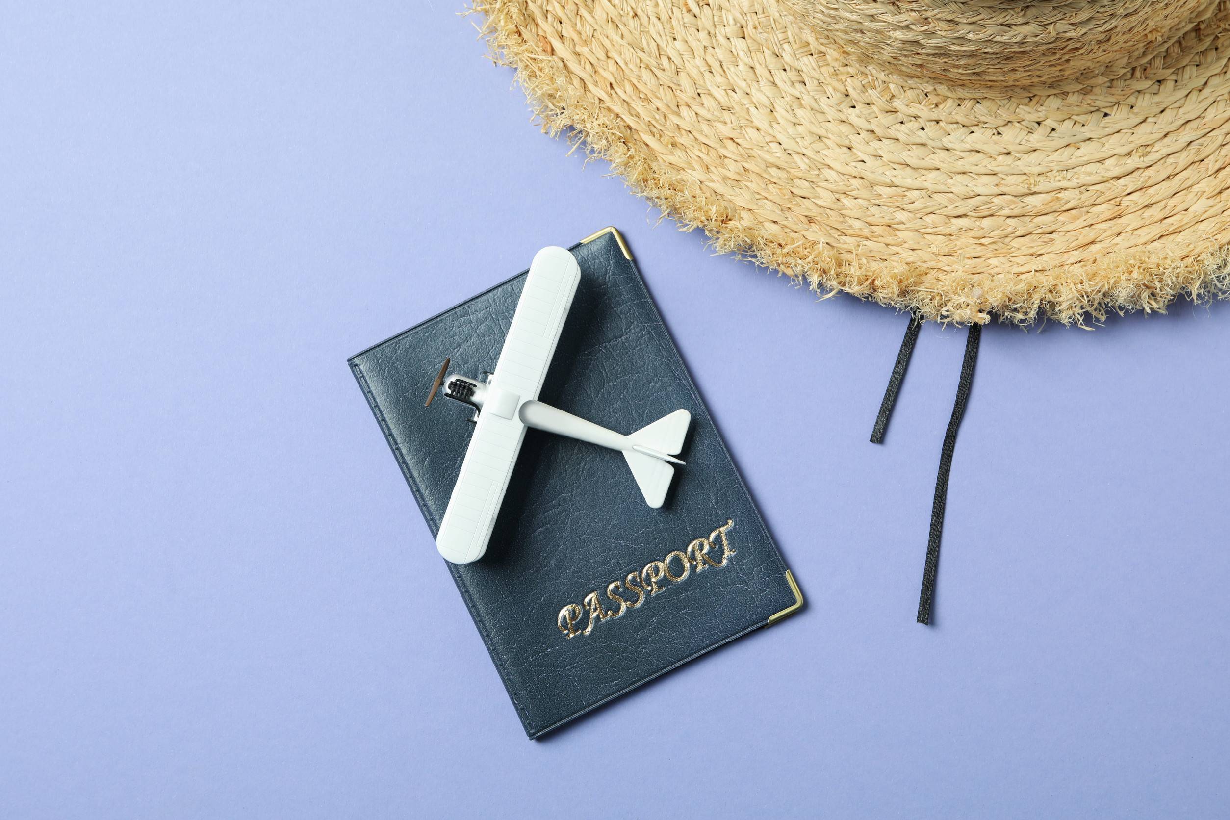 Official Travel Passport