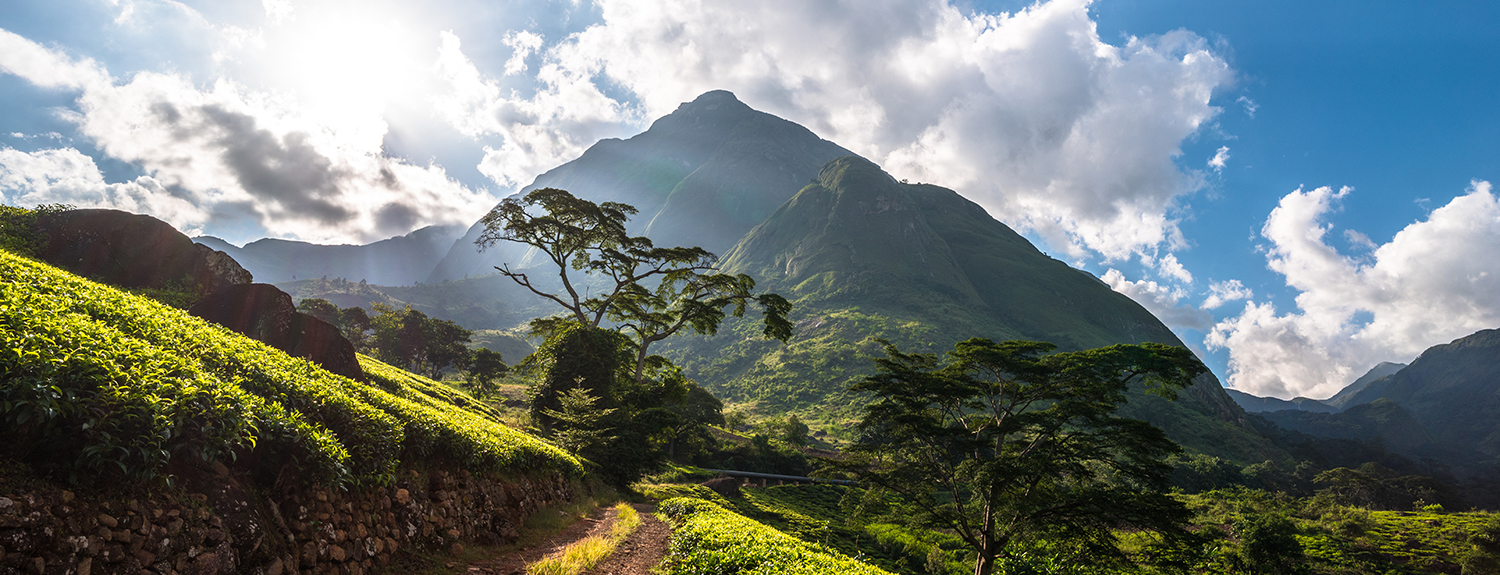 Queen Elizabeth National Park