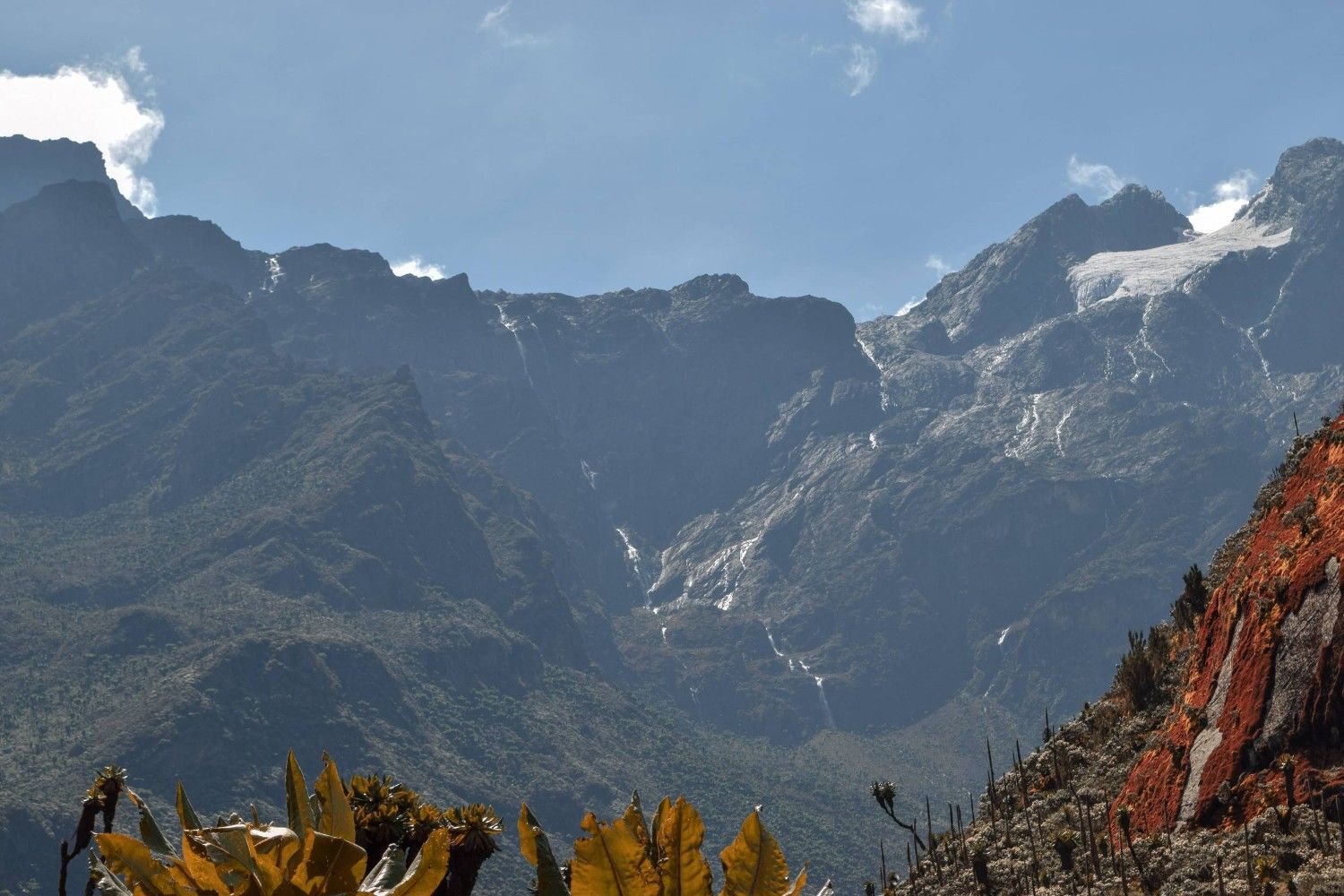 Rwenzori Mountains In Uganda
