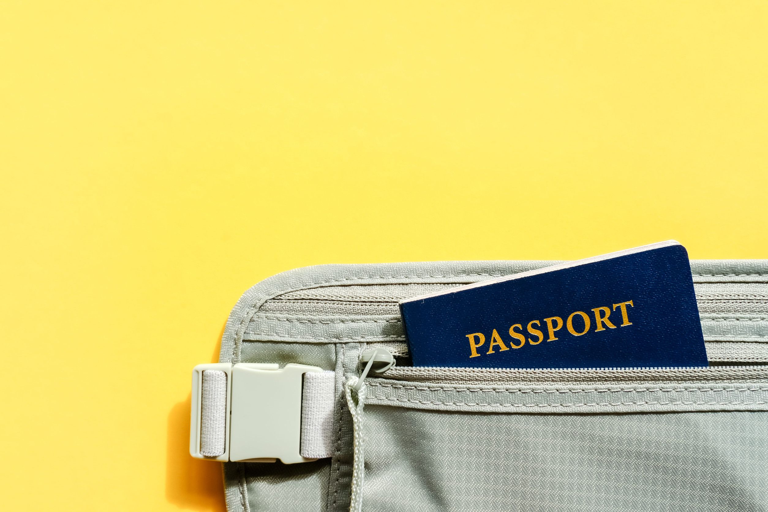 Visitor Passport